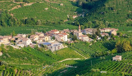 Città di Valdobbiadene, panoramica della città di Valdobbiadene con vista sui campi e i vigneti intorno alla città